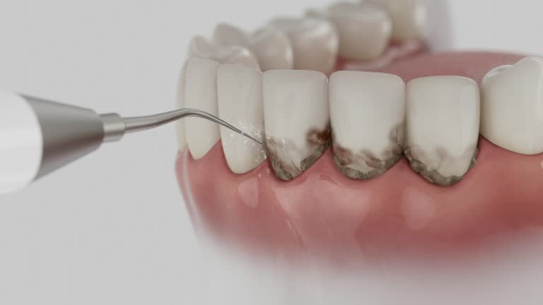 Reliable Dental contractor in Rio Grande, NJ by Dentist Open Now